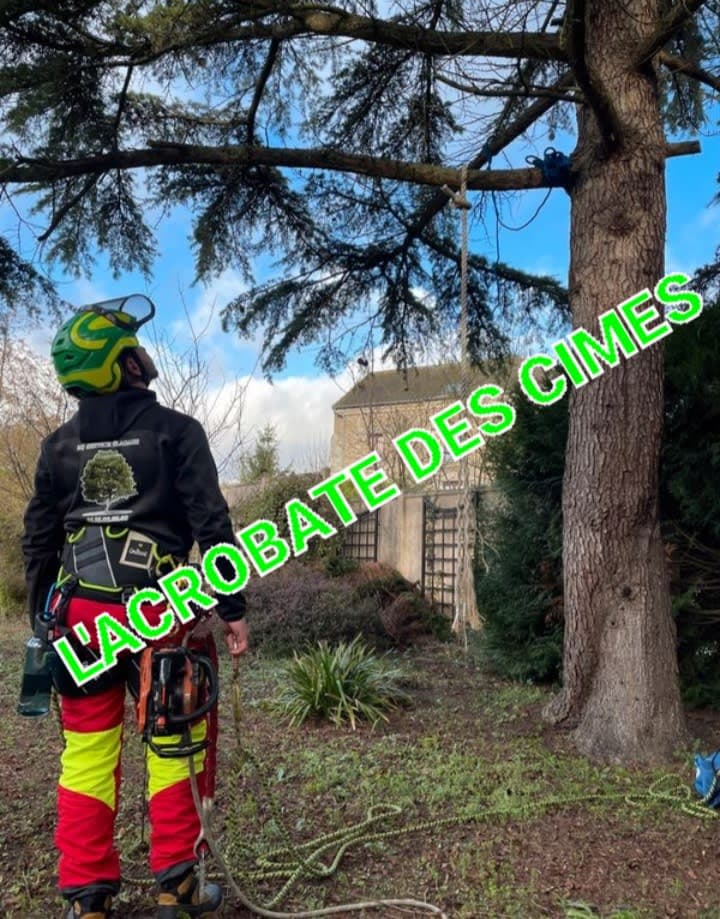 Élagueur paysagiste - L'acrobate des cimes